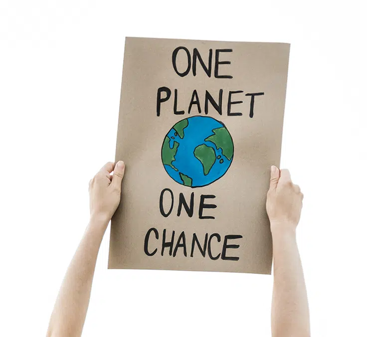 Financial newsletter