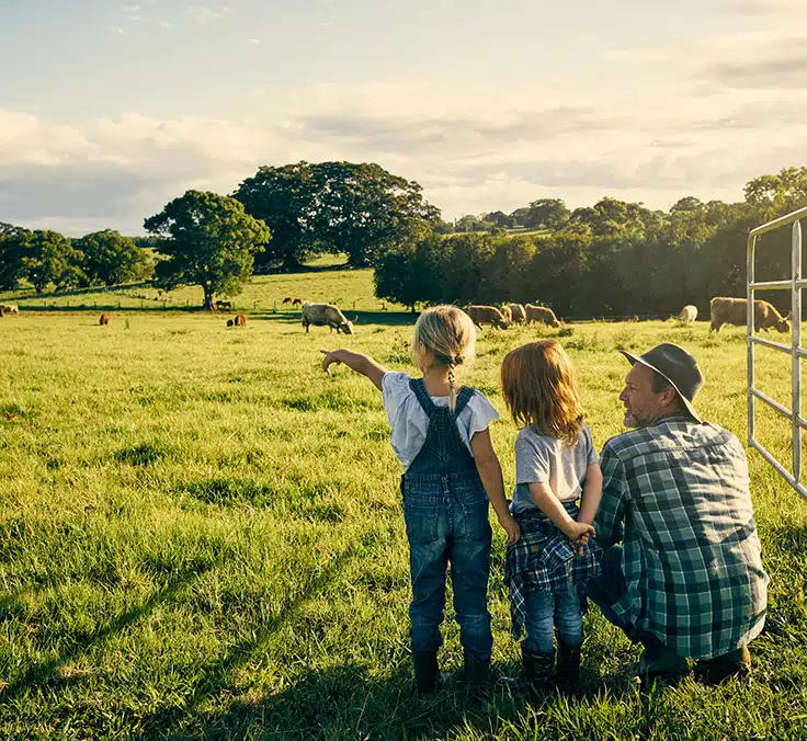 Agroseguro, no auge da proteção do campo espanhol