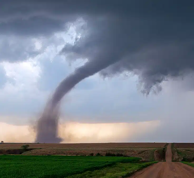 ¿Qué son los bonos catástrofe?