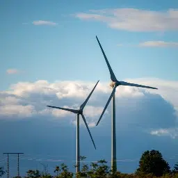 Productos sostenibles 256 Productos sostenibles 256