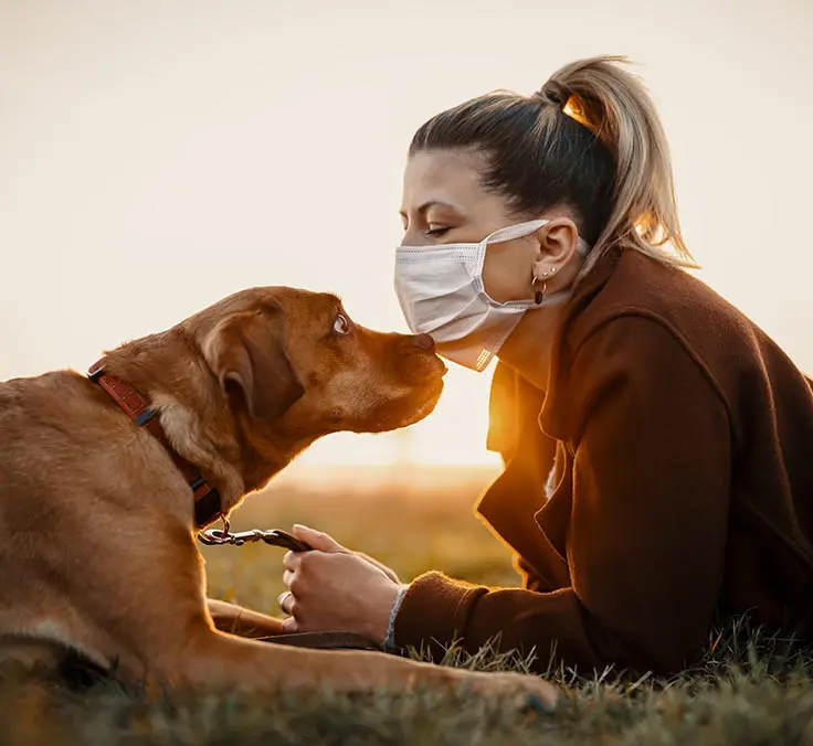 Coronavirus: financial analysis XVII