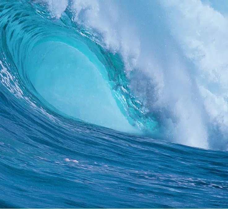 Financial newsletter