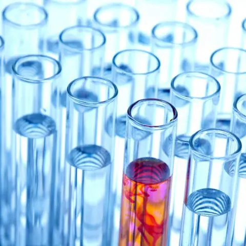 This crisis has shown society that the pharmaceutical sector is an indispensable collaborator in the health system